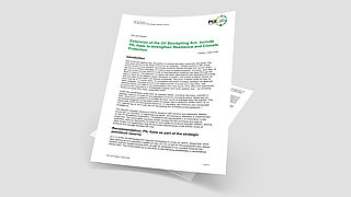 Cover Page of the PtX Lab Position entitled "Extension of the Oil Stockpiling Act".