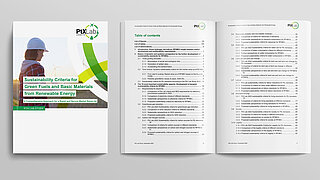 Cover of the study Sustainability Criteria for Green Fuels and Basic Materials from Renewable Energy.
