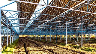 Solar panels are standing in a field.