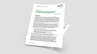 Cover Page of the PtX Lab Position entitled "AccelerateEU: Accelerated Actions are Urgently Needed for Energy Security"