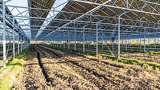 Solarzellen stehen auf einem Feld.
