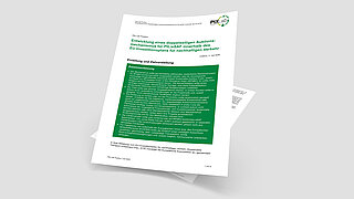 Titelblatt des PtX Lab Paper "Entwicklung eines doppelseitigen Auktionsmechanismus für PtL/eSAF innerhalb des EU-Investitionsplans für nachhaltigen Verkehr"
