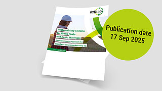 Sustainability Criteria for Green Fuels and Basic Materials from Renewable Energy.