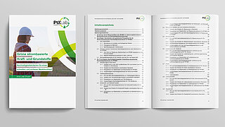 Deckblatt der Studie Sustainability Criteria for Green Fuels and Basic Materials from Renewable Energy.